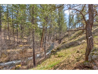 0 Box Canyon Rd Unit 551282407, Goldendale, WA 98620