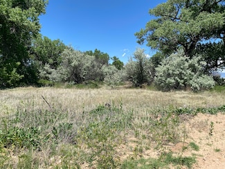 0 Los Chapulines Road Tract D3 Unit 1035462, Belen, NM 87002
