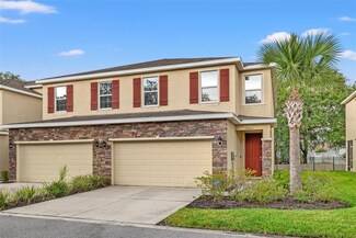 13223 Canopy Creek Dr, Tampa, FL 33625