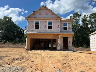 554 Griffon Dr, Chapin, SC 29036