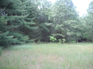w 1690 County Rd E, Neshkoro, WI 54960