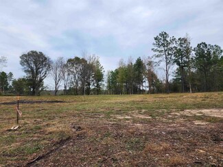 LOT 5 - TBD County Road 363, Winona, TX 75792