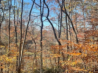 Lot 193 Stillwater Blvd, Russell Springs, KY 42642
