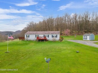 442 Ploss Rd, Richmondville, NY 12149