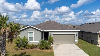 8202 Barnside View Ln, Gibsonton, FL 33534