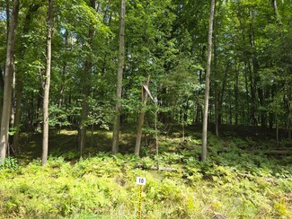 9570 Pere Marquette Dr, Canadian Lakes, MI 49346