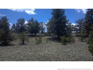 896 La Plata Cir, Hartsel, CO 80449