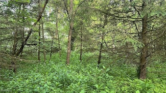 0 Mcafee Rd, Wooster, OH 44691