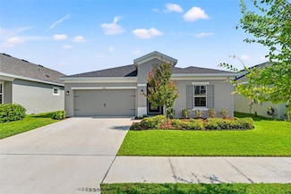 6123 Golden Nettle Dr, Apollo Beach, FL 33572