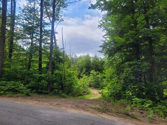 86 Currier Rd Unit Lot 27, Hill, NH 03243