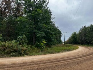 Parcel A Michway St, Baldwin, MI 49304