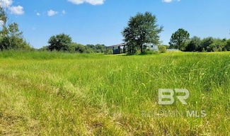 14030 Joe Norris Ln, Foley, AL 36535