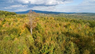 0 Meadow Rd Unit 40 4974157, Newbury, NH 03255