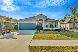 14445 Haddon Mist Dr, Wimauma, FL 33598