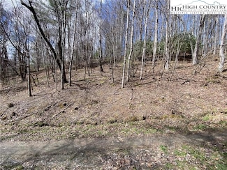 tbd Teaberry Rd, Warrensville, NC 28693