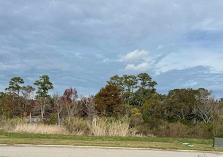 TBD Cravens St, Georgetown, SC 29440