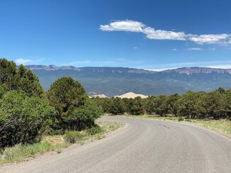 1601 Ponderosa Dr, Ridgway, CO 81432