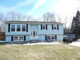 4478 Winchell Rd, Mantua, OH 44255