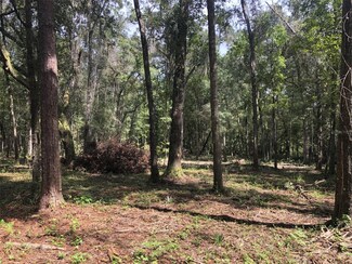 0 NE 120th Ave Unit MFROM690049, Bronson, FL 32621
