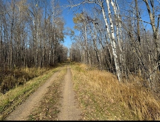 xxx Dam Lake St, Aitkin, MN 56431