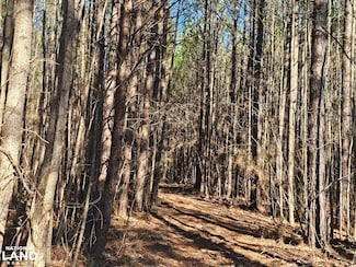 0 Alabama 13, Eldridge, AL 35554