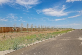 16100 San Diego St, Amarillo, TX 79119