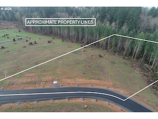 196 Ash Mountain Dr Unit 2, Castle Rock, WA 98611