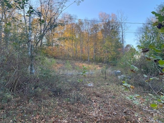 135 David Brown Rd, Jasper, TN 37347