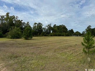 Lot 2 Sand Plant Rd, Nichols, SC 29581