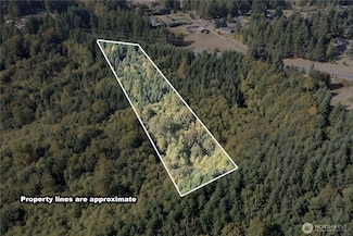 0 Lot 3 Spirit Lake Parcel Wk3516013 Hwy, Castle Rock, WA 98611