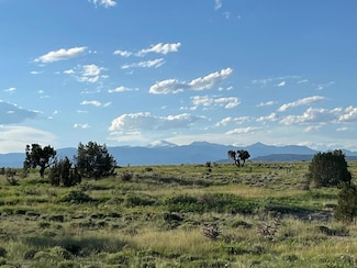 TBD Cedarwood Ct, Pueblo West, CO 81007