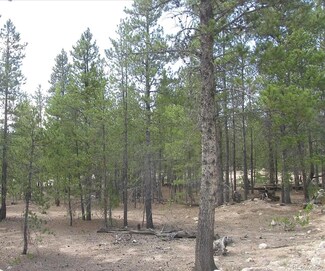 218 Cedar Dr, Leadville, CO 80461
