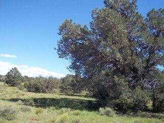 7503 E Water Tank Cir Unit 373, Williams, AZ 86046