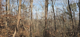 00001 Matt Hwy, Ball Ground, GA 30107