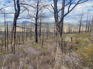 338 Hagin Ln, Fort Garland, CO 81133