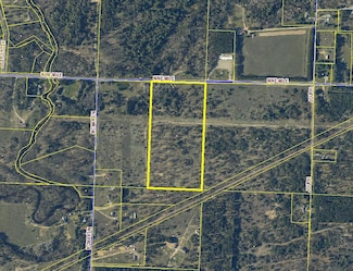 19.5 Acres 9 Mile Rd, Kaleva, MI 49645