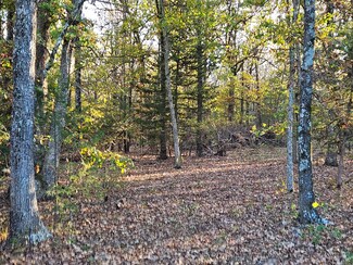 Tract 2 State Highway 174, Marionville, MO 65705