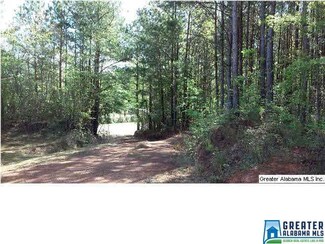 1200 Old Patton Ferry Rd, Adger, AL 35006