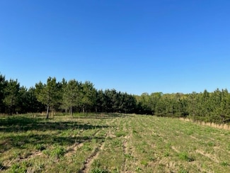 0 Trimble Hollow Rd Unit 22740255, Calhoun, GA 30103