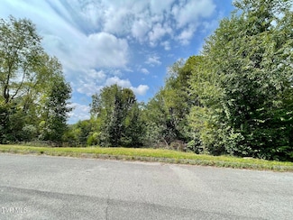 417 Grace Hills Dr, Blountville, TN 37617