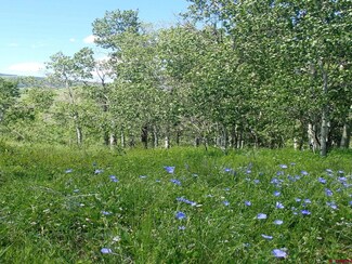 252 Neville Way, Crested Butte, CO 81224