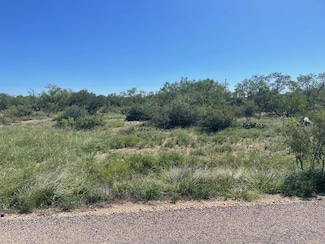 1545 Stone Ledge Ln Unit 24, San Angelo, TX 76904