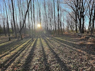 12570 Pinckley Rd, Arlington, TN 38002