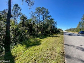 0 Shady Hollow Blvd E Unit 225059127, Naples, FL 34120