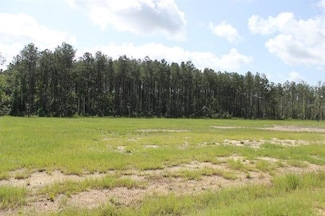 24755 B-1 Louisiana 442, Independence, LA 70443