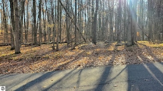 9815 Lost Canyon Dr Unit 690, Canadian Lakes, MI 49346