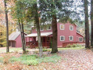 132 Shaner Run Rd, Eagles Mere, PA 17731