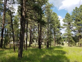 000 Cr 2086 --, Alpine, AZ 85920