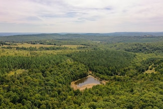 000 Dodd Mountain Rd, Shirley, AR 72153