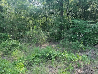 30 Ranchette, Colbert, OK 74733